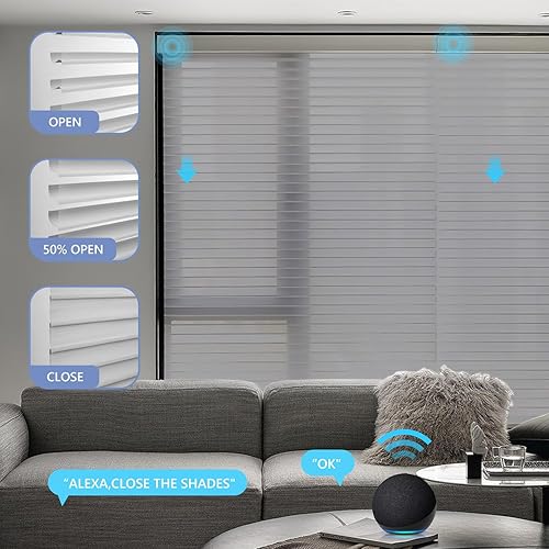 Miniatura 3 de ZSTARR Shangri-La Motorized - Persianas enrollables para ventana con filtro de luz, compatibles con control remoto Alexa Google, persianas