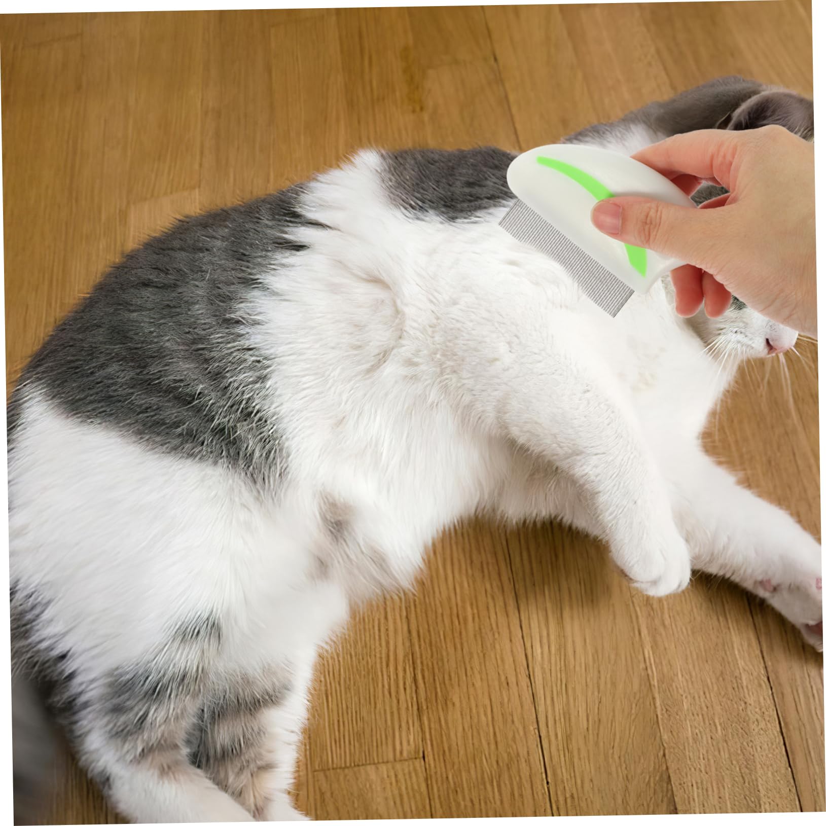minkissy 12stücke Edelstahl Flohkamm Für Hunde Katzen Effektive Reinigungsbürste Zur Entfernung Von Schmutz Ergonomischer Griff Rot Grün Leicht Tragbar