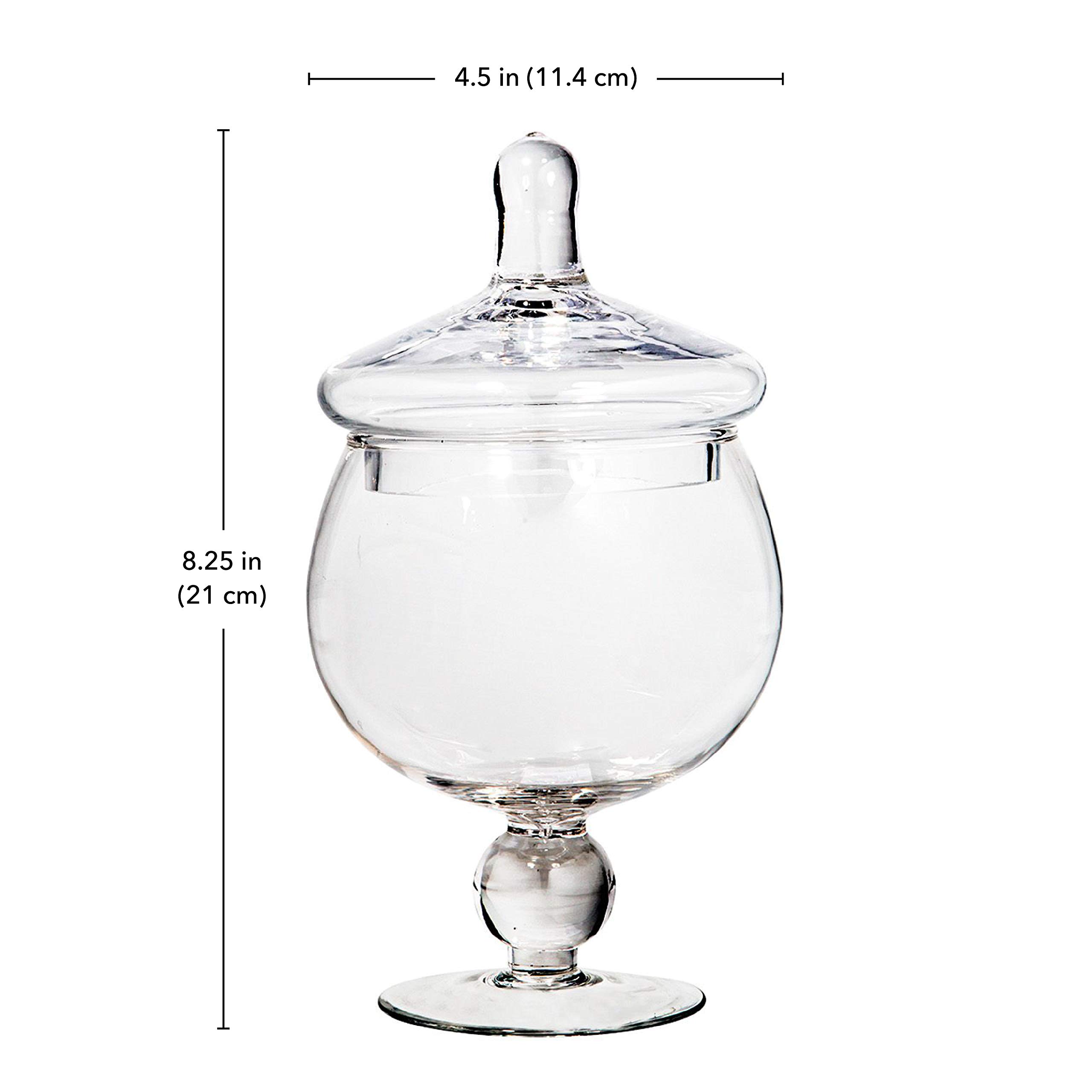Buy Apothecary Jars with Lids Set of 3 Home Essentials & Beyond Candy