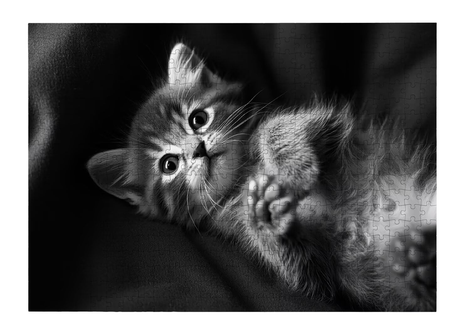 Puzzle Gatto, Puzzle 5000 Pezzi Arte per Adulti, Regalo Uomo e Donna -4687