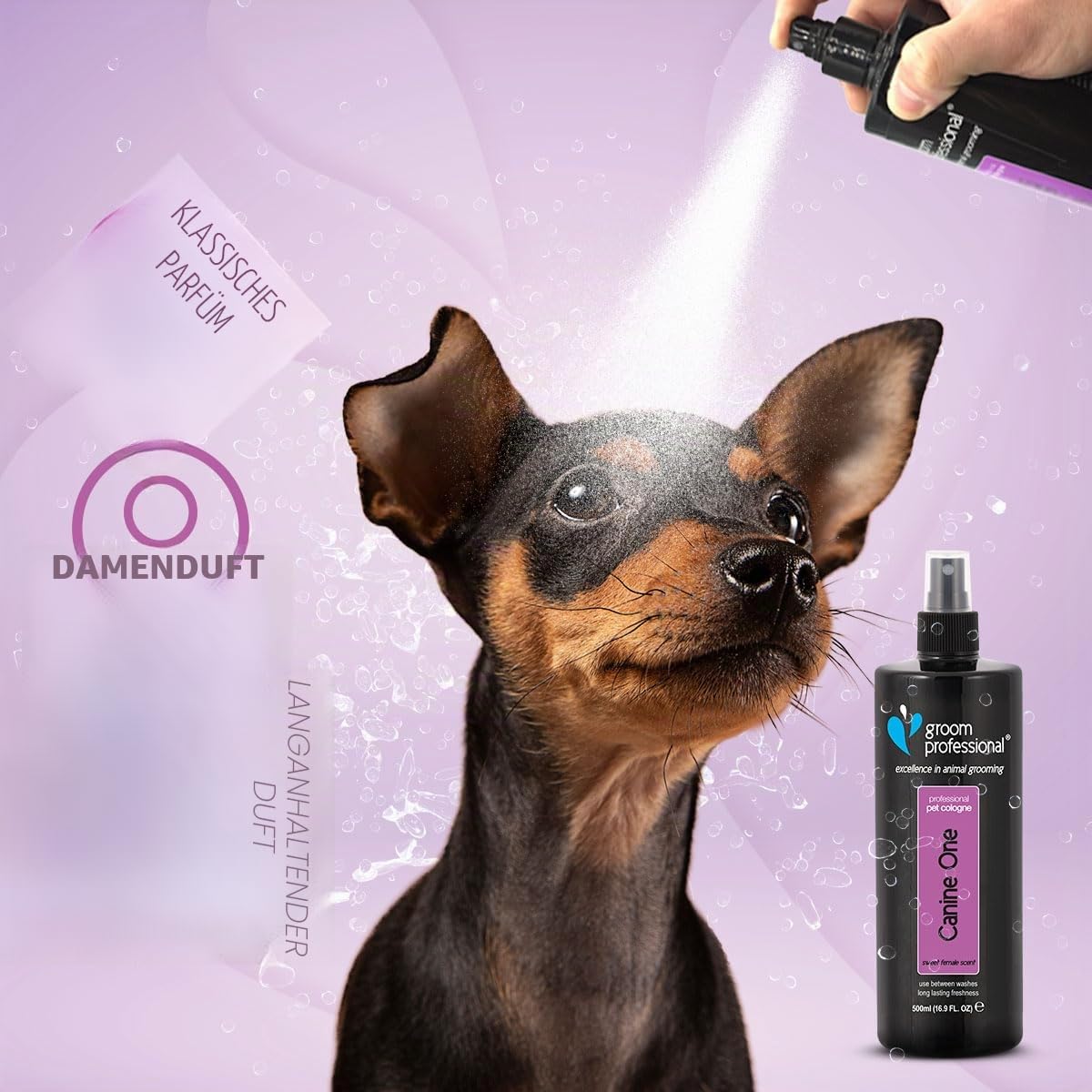 Groom Professional Hunde-One EAU de Cologne für Haustiere, 500 ml
