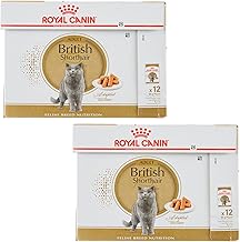 Royal Canin British Shorthair | Twin Pack | 2 x 12 x 85g | Wet Food for Adult British Shorthair Cats | Suitable From 12 Months | Small Pieces in Sauce