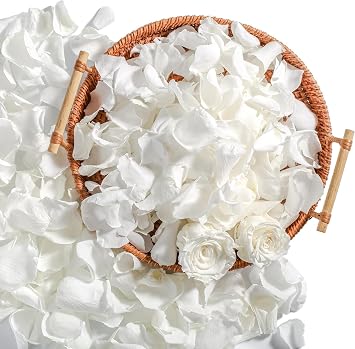 Real Ivory Rose Petals, Frozen Preserved Petals Dried Flower Confetti