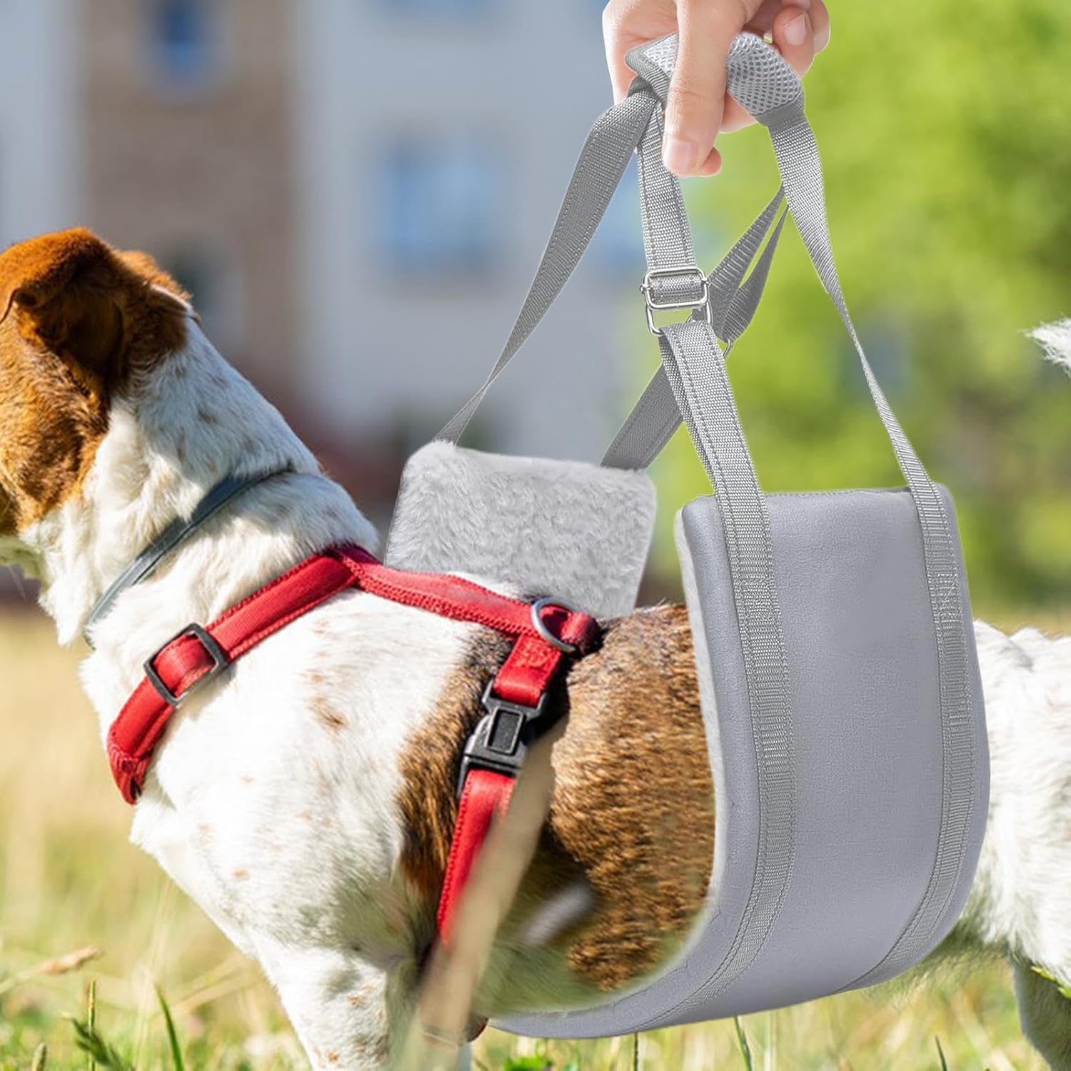 Dog Support Harness, Adjustable Dog Lift Sling, with Non-Slip Padding, Water-Resistant, Pet Supplies for Disabled Senior Injured Medium Large Animals - Image 2