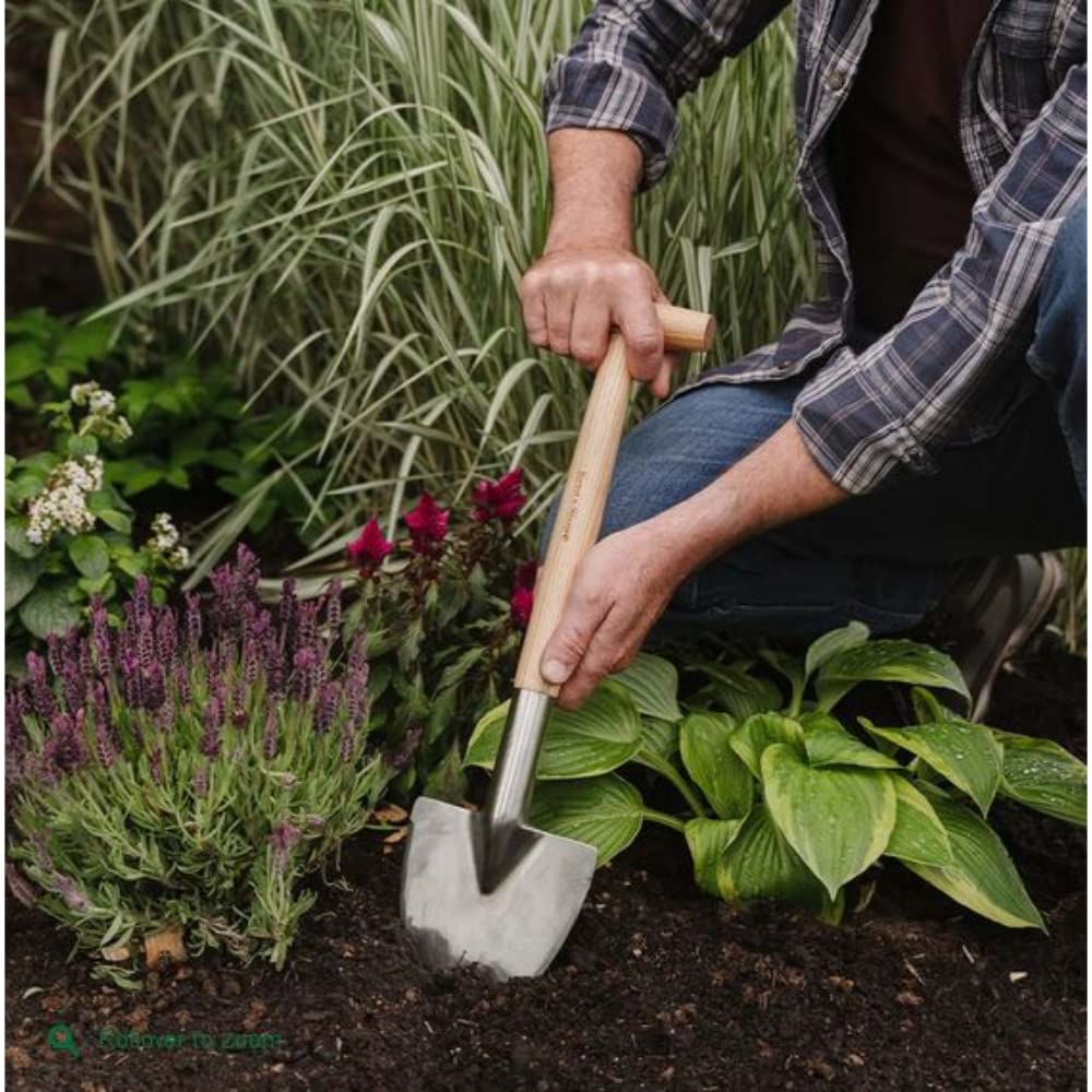 Kent & Stowe Pelle vivaces en Acier Inoxydable, tête Pointue pour trancher Facilement Les Racines, Outils de Jardin Tout au Long de l'année en Acier Inoxydable et Bois de frêne
