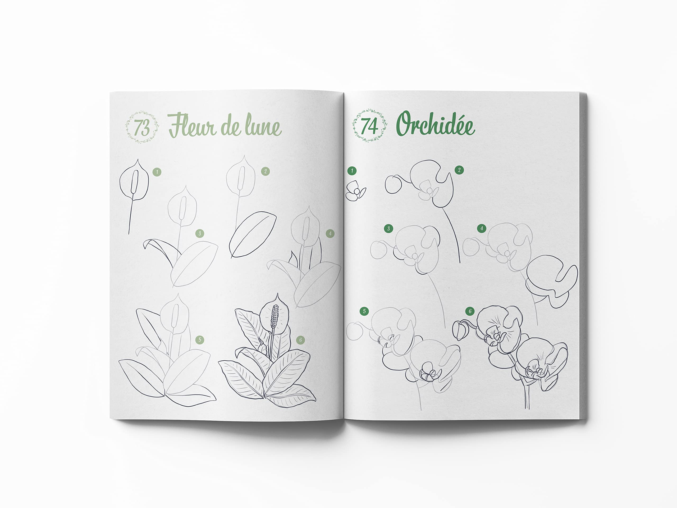 300 mod�les � dessiner en pas � pas Sp�cial nature - Dessins �tape par �tape Herzog, Lise - PT02