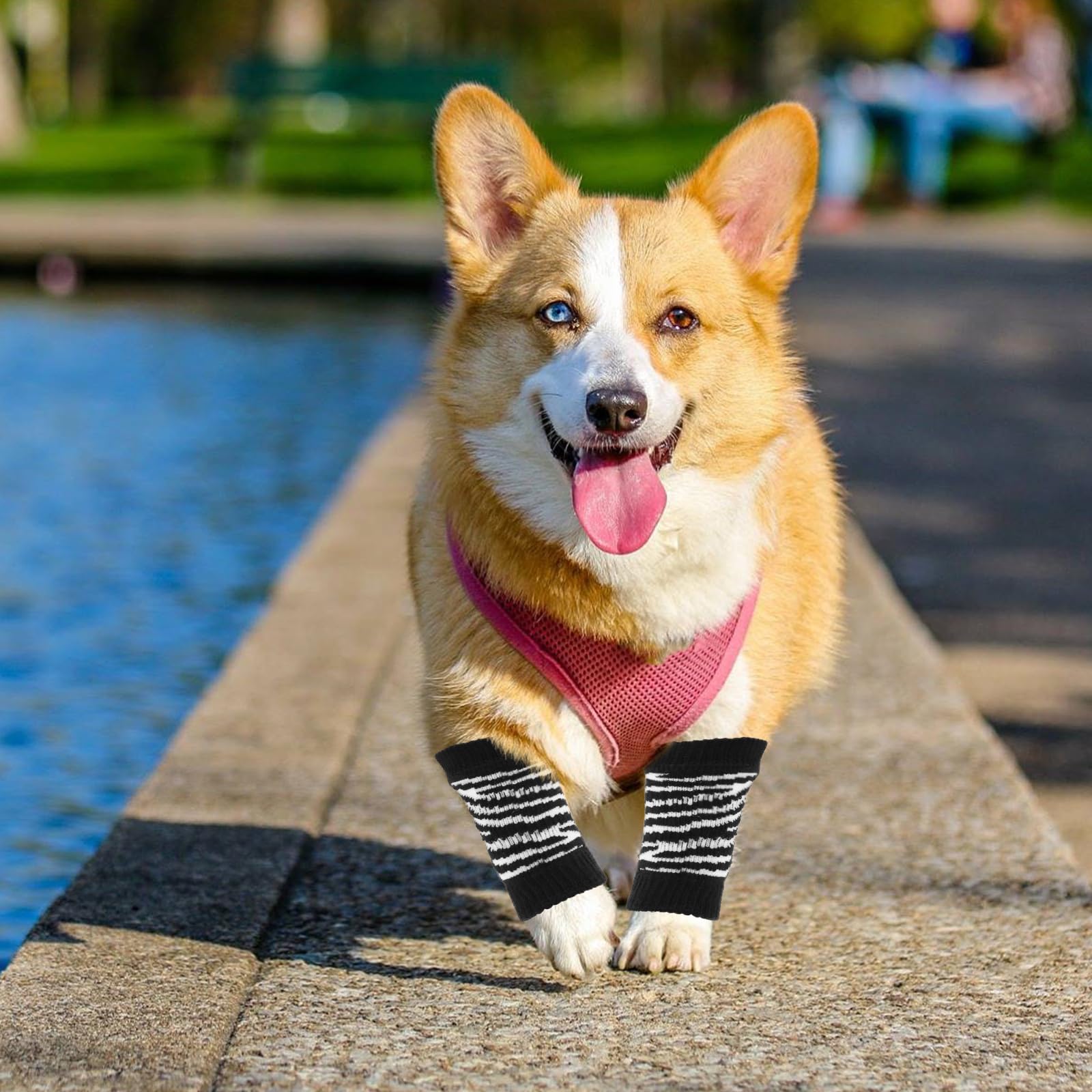 Sosoport 1 Set Dog Socks Dog Leg Warmers Adorable Dog Socks Zebra Elastic Socks for Dog Portable Dog Leg Protectors Dog Leg Sleeve Washable Pet Socks Leggings Breathable Cotton