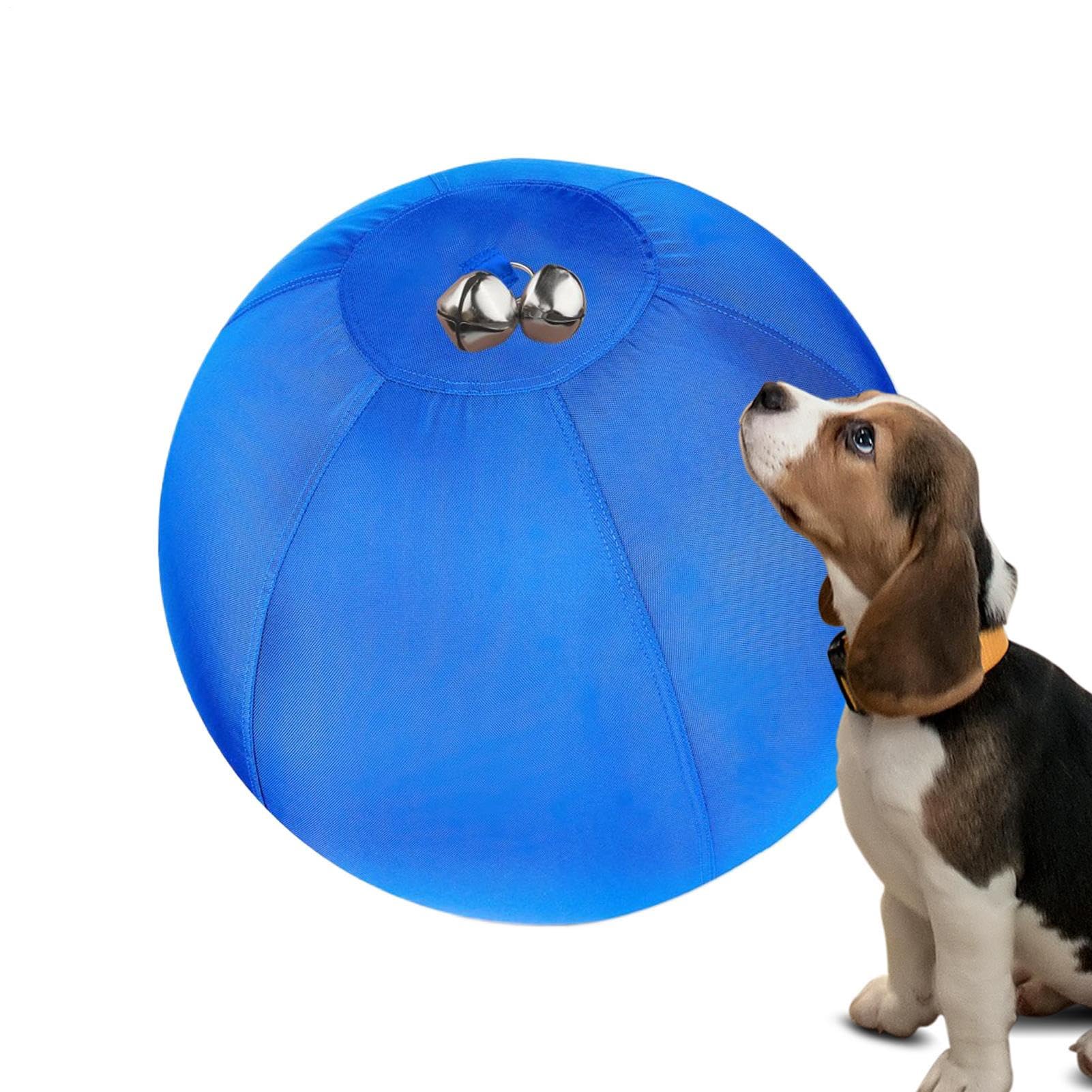 Boule de Berger pour Chien Gonflable et Rebondissante pour la Dentition