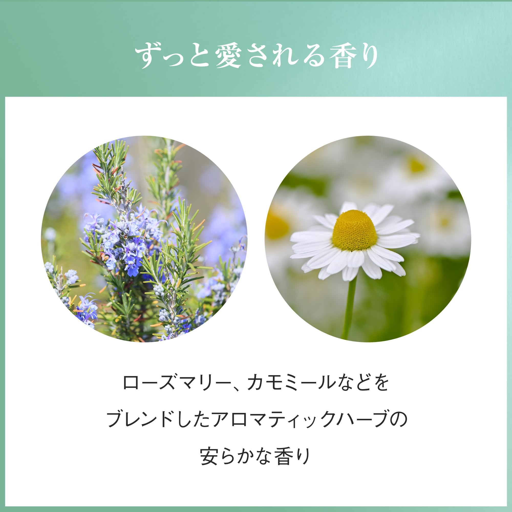 Amazon.co.jp: AYURA Meditation Bath Tee, 10.1 fl oz (300 ml) x 3