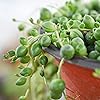 Product Photo 9