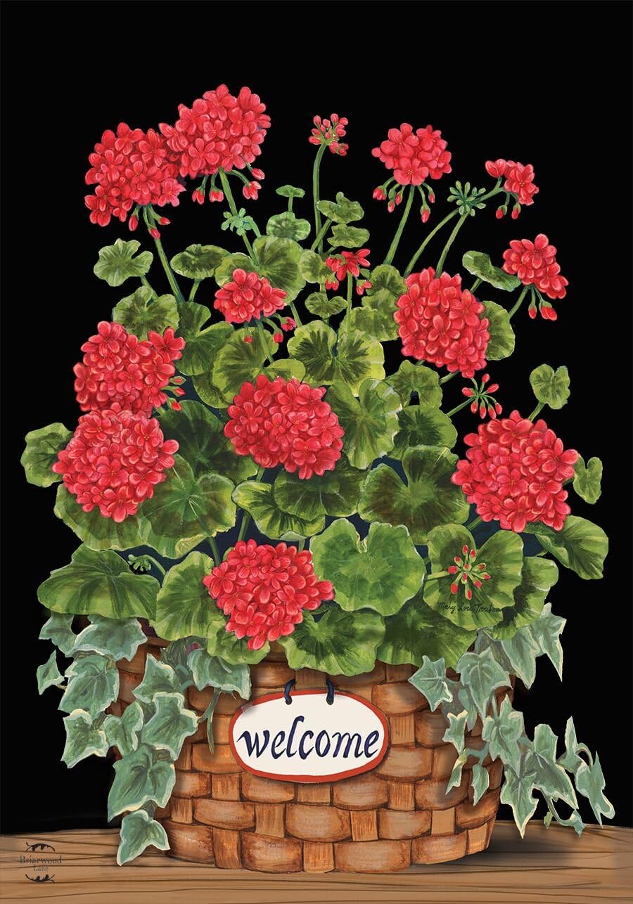 Bandera De Sandía Bandera De Jardín De Verano Bandera De - España