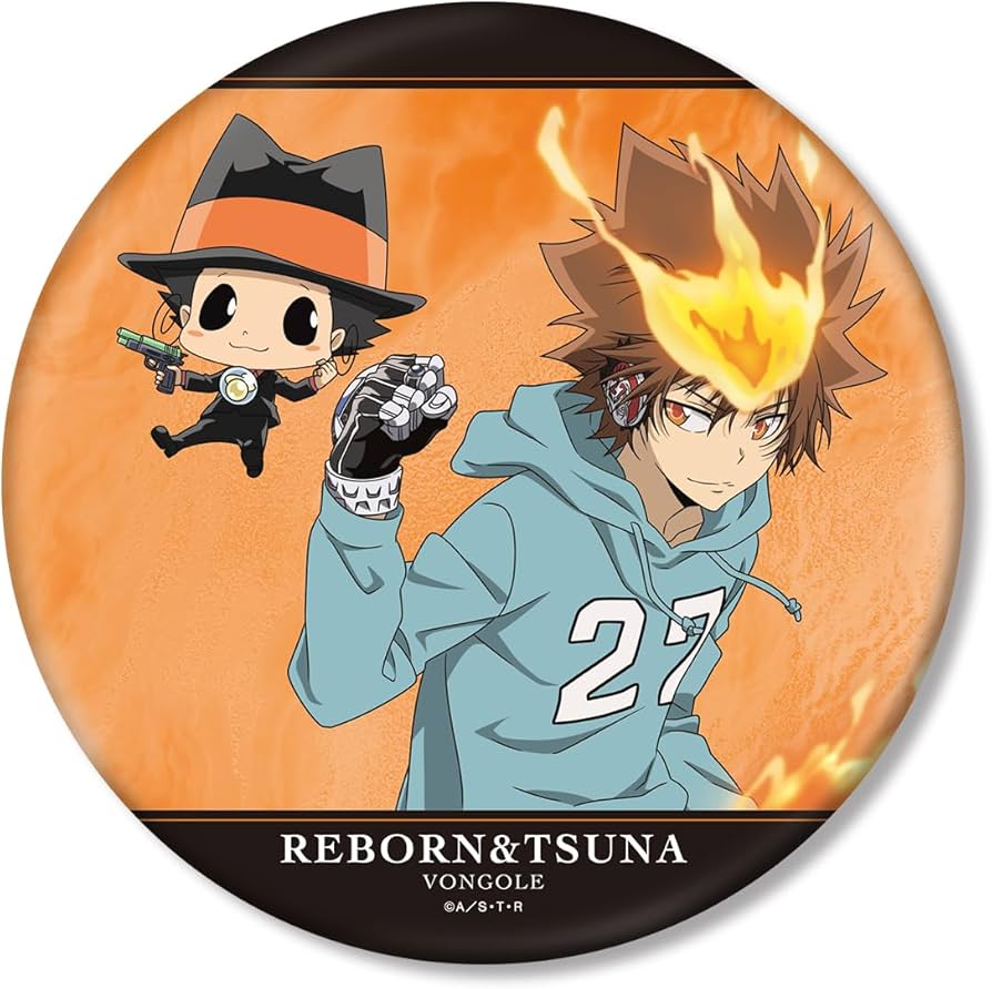 家庭教師ヒットマンREBORN リボーン 沢田綱吉 缶バッジ A1