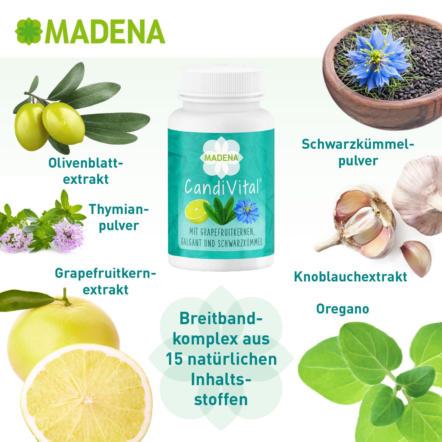 MADENA CandiVital, natürlicher Phyto-Komplex, geeignet bei Candida albicans Candidose Hefepilzinfektion*, mit Caprylsäure hochdosiert, Oregano, Grapefruitkernen und Schwarzkümmel