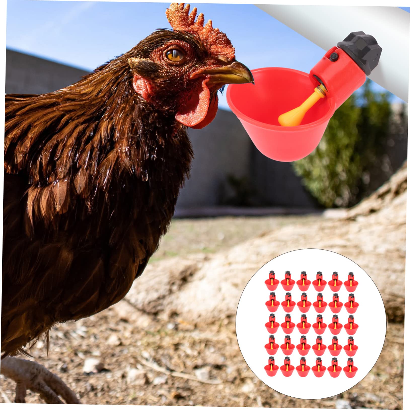 Abbeveratoio Automatico per Polli e Piccioni 30 Pezzi Abs Rosso | Dispensazione Acqua Automatica, Uso Sicuro e Pratico, per Allevamenti Avicoli Domestici e Commerciali