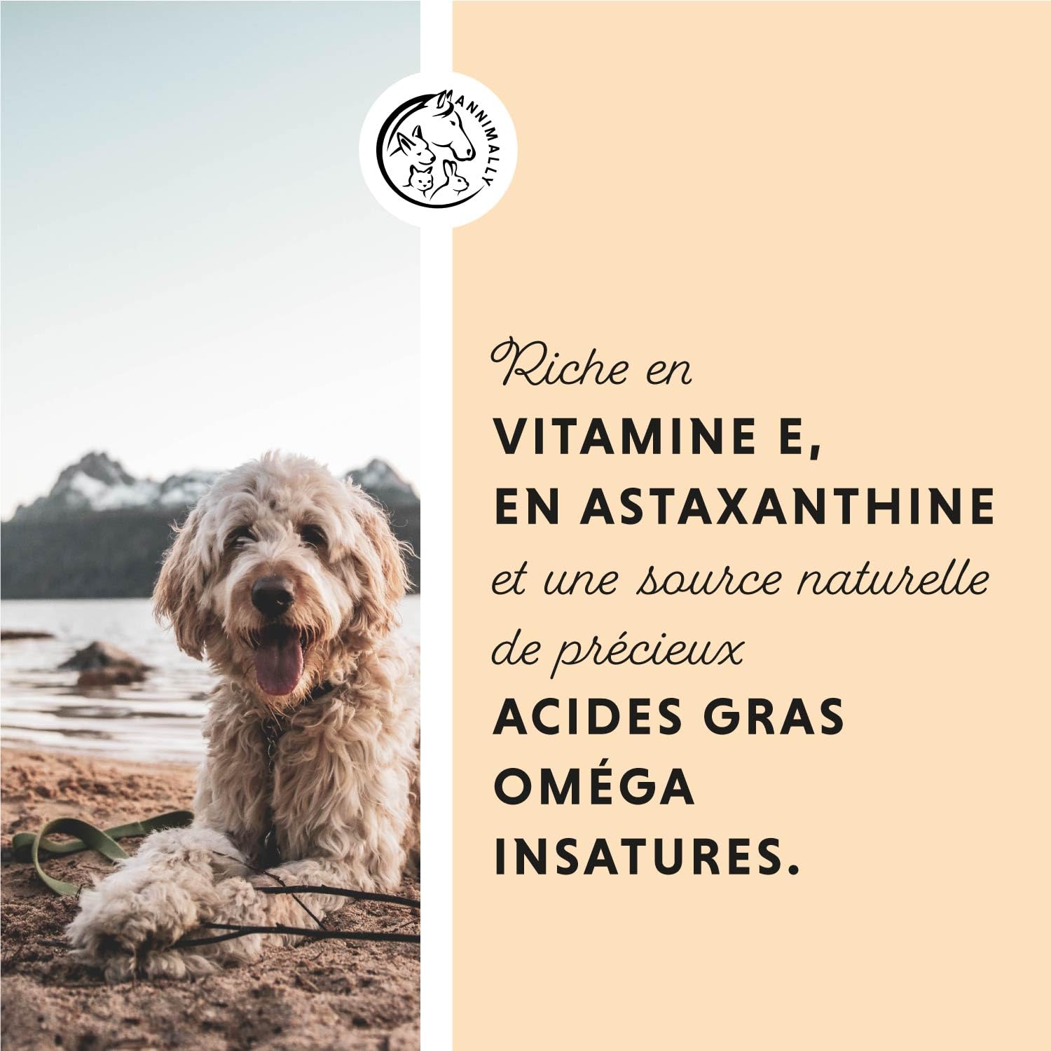 Annimally Huile de Saumon écossais pour Chiens 1 Litre Riche en acides Gras Omega 3 & 6 (avec 30%) - Huile de Poisson Barf pour Chien, Chat et Cheval, adaptée I Produit Naturel