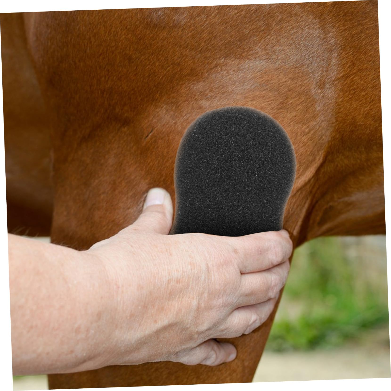 Tofficu Esponjas para Limpieza de Equinos 5 Piezas 20x11 Cm Esponja para Baño Accesorios para Cuidado de Pelaje y Eliminación de Suciedad en Caballos