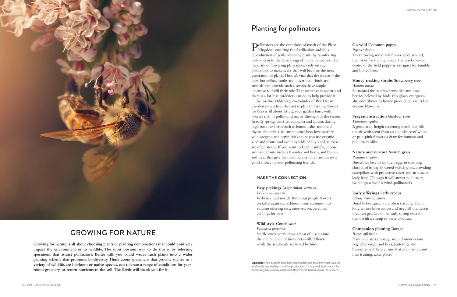 Collins Botanical Bible: A Practical Guide to Wild and Garden Plants