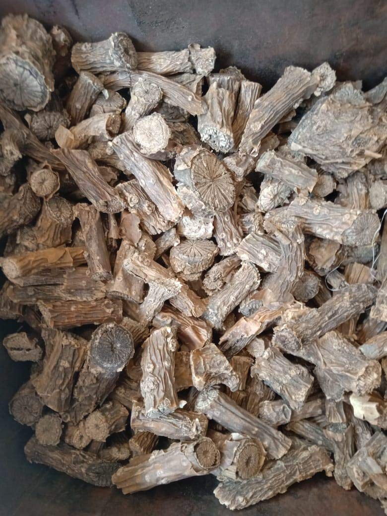 Spacetouch Giloye Giloy Ayurvedic Herbs Guduchi Giloi Natural Immunity 300 Gram Pack