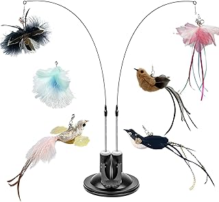 MOYITNCWL Cat Feather Toys, Cat Wand Toy with Suction Cup Detachable, 2pcs Cat Wands and 6 pcs Feather Replacements with Bell, Interactive Cat Toy for Indoor Chase Exercise
