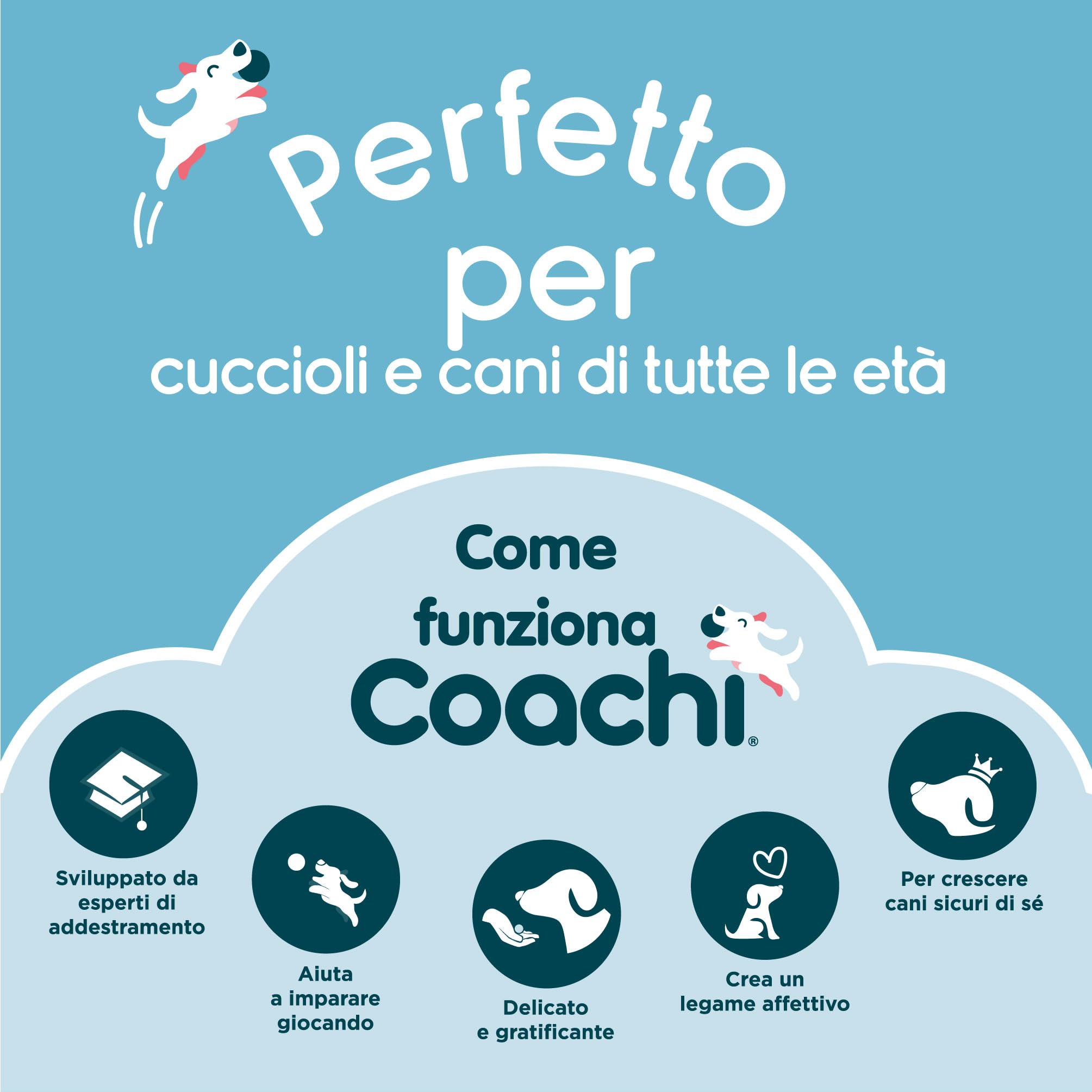 Coachi Whizzclick, clicker e Fischietto 2 in 1, Fischietto per Il richiamo Canino e clicker per l’addestramento con premi, Cordino Riflettente Regolabile, Adatto a Cani e Cuccioli