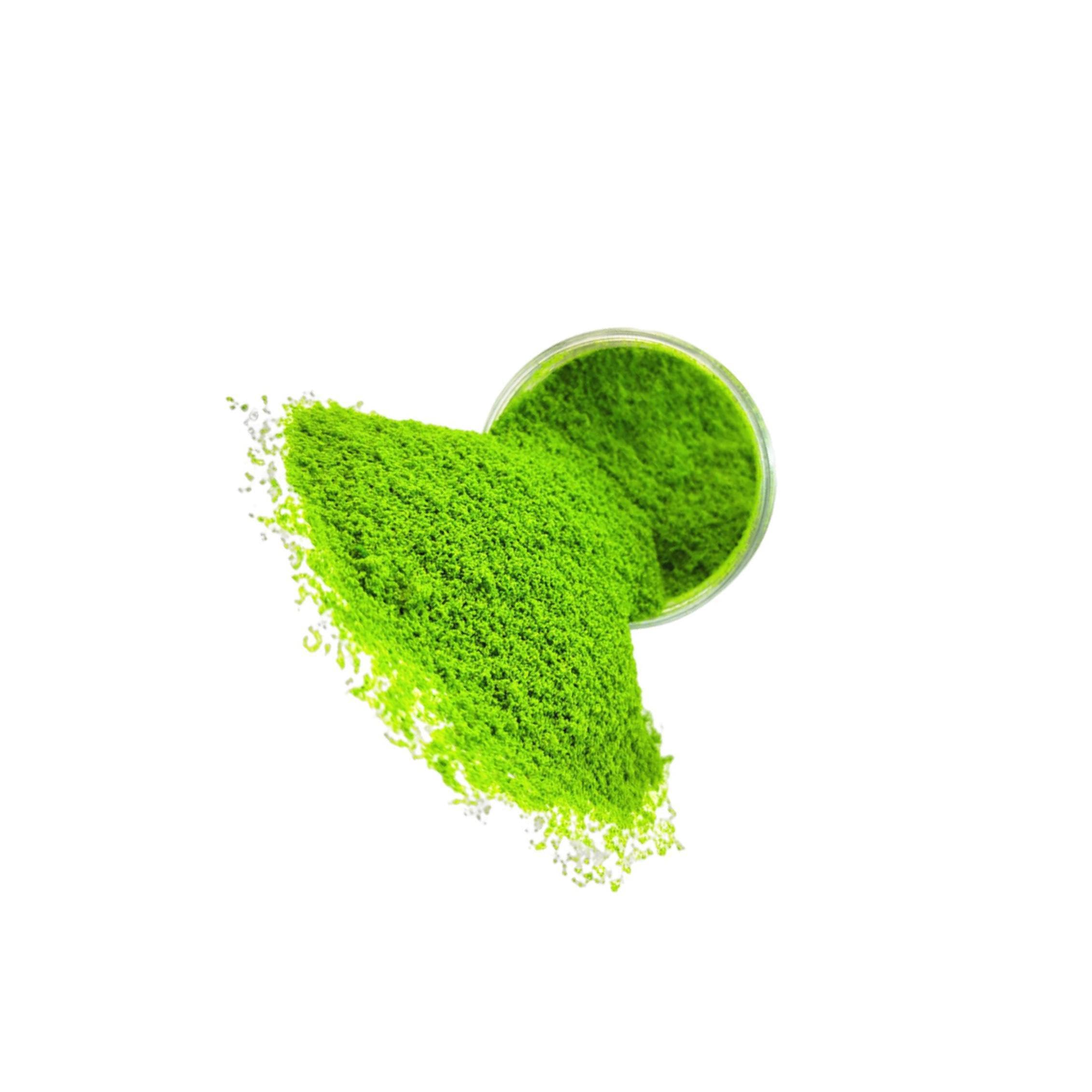Twisaxc Unisex Architecture Model Supplies Diy Accessories Unique Grass Terrain Powder Expanding Model Layout Possibilities Architecture Supplies Scene Diy