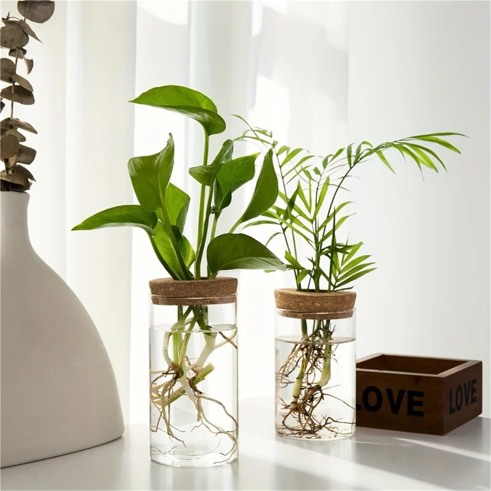 Vase Hydroponique Verre Verre Transparent hydroponique Vase1-2Home Bureau Plante Verte enracinement conteneur décoration Ornement(6.5X12CM 2PCS)