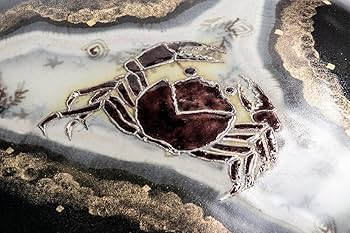 Amazon.co.jp: 作家物 伊藤北斗 (いとうほくと) 釉描色絵金銀彩