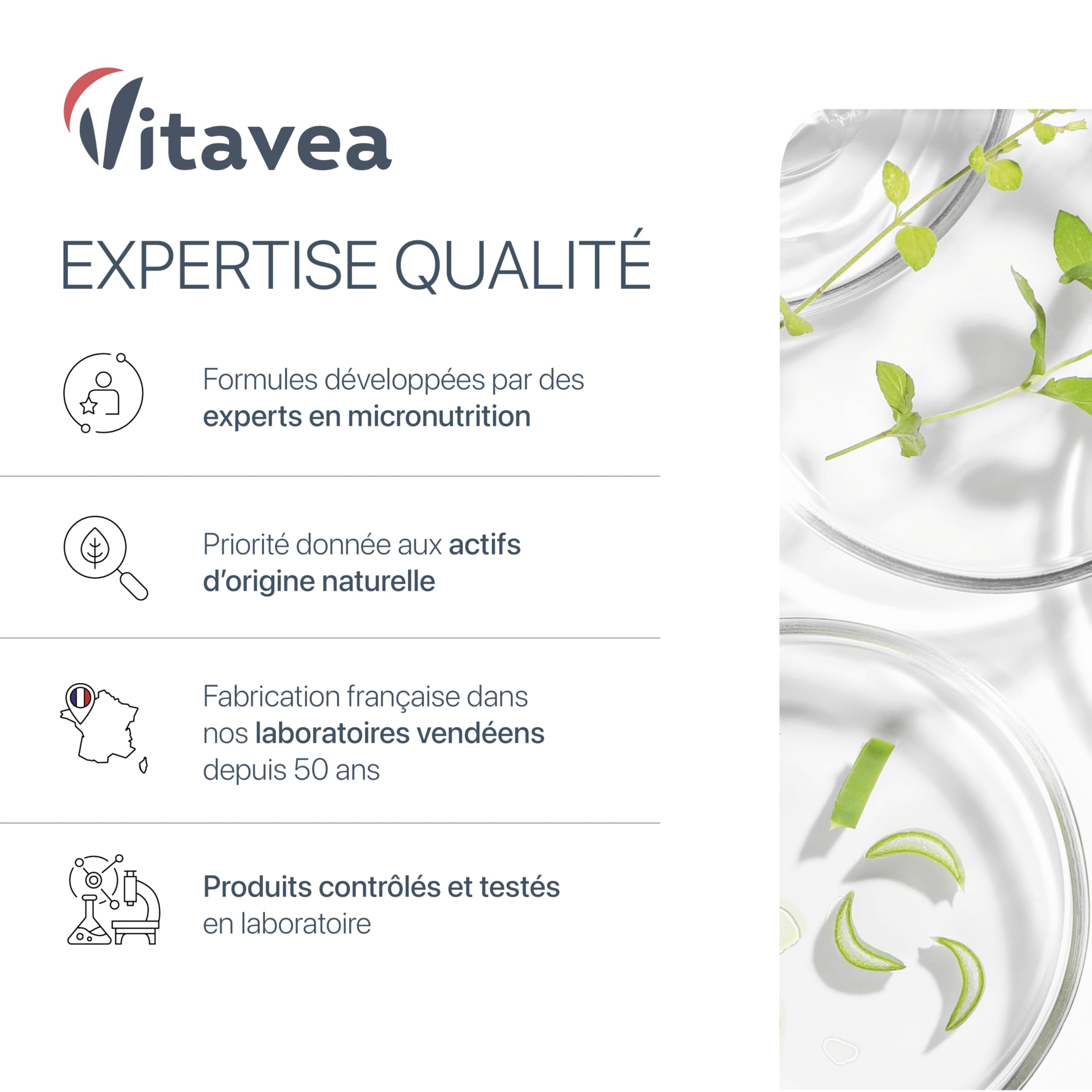 Multivitamines & Minéraux - 25 Nutriments Essentiels dont Vitamine A B C D E, Zinc et Fer - 4 Acides Aminés - 6 mois - Énergie, Fatigue & Immunité - 180 Comprimés - Fabriqué en France - Vitavea