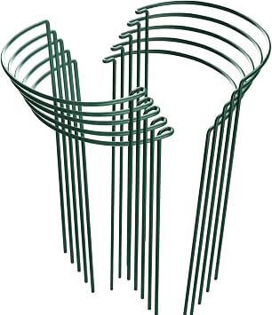 HiGift 10 Pack Peony Cages and Supports, 10" W x 16"H Plant Support, Heavy Duty Metal Plant Support Stake for Indoor Plants Half Round Garden Stakes Plant Support Ring for Hydrangea,Flower Outdoor