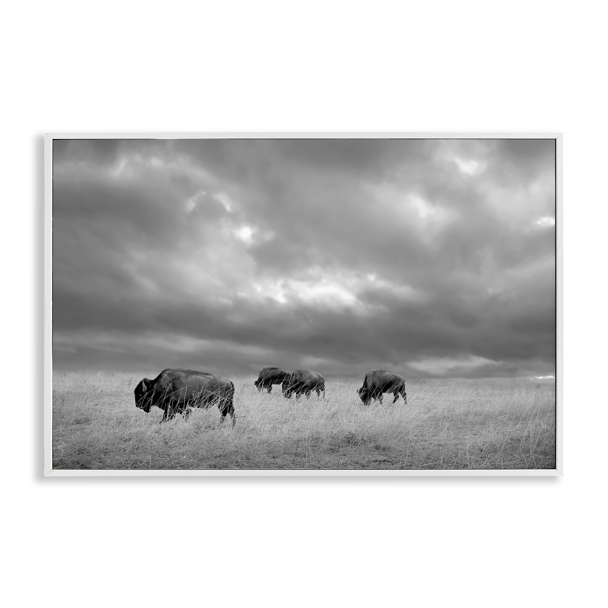 Stupell Industries Coastal White (Textured) 'Bisons Under An Autumn Sky'| Framed Giclee Art