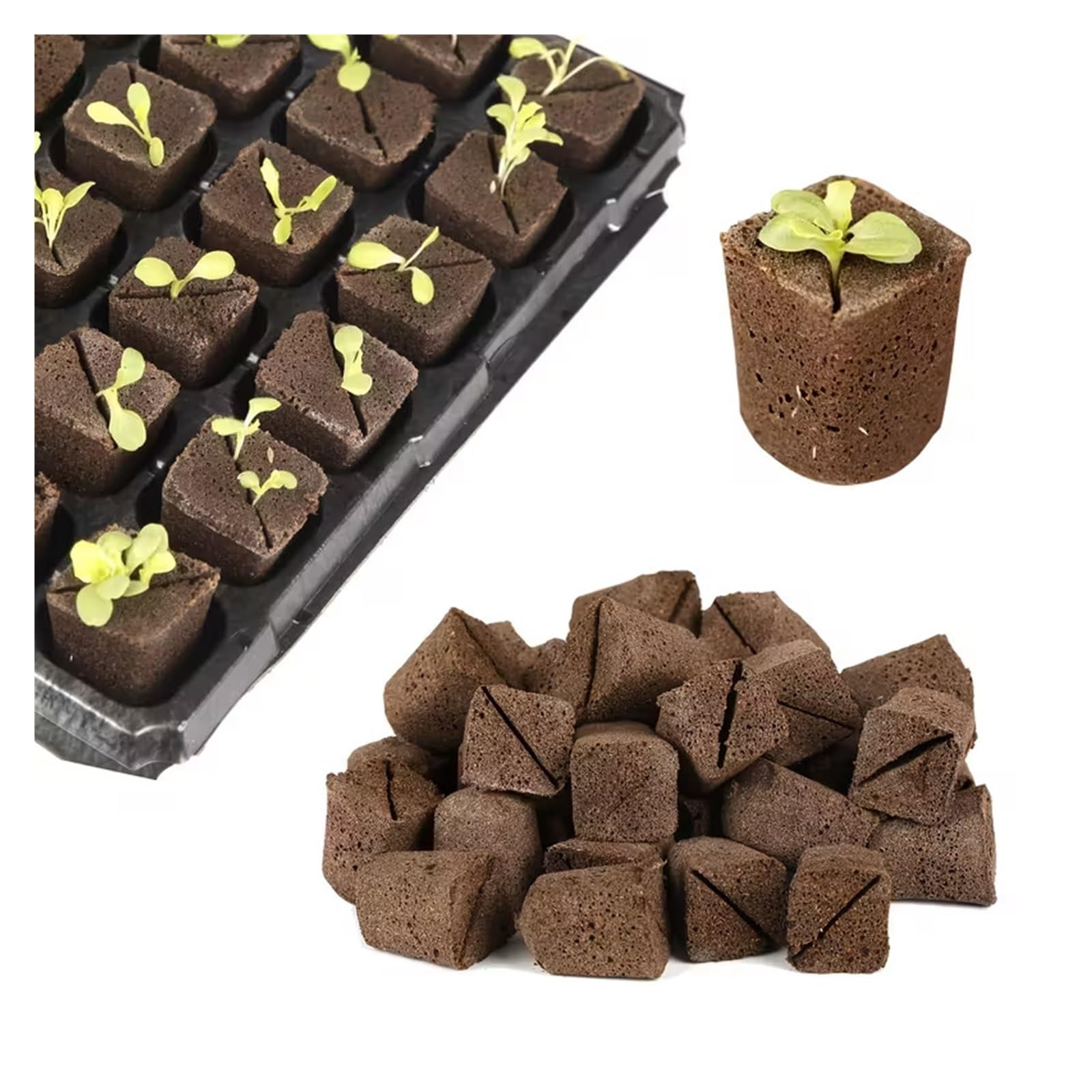 Spugne Per Coltivazione Baccelli di spugne for avviamento semi, tappi rapidi for radici torba e muschio, cubi ricambio for piantine for gli appassionati giardinaggio i principianti che crescono | Brown 20PCS-A