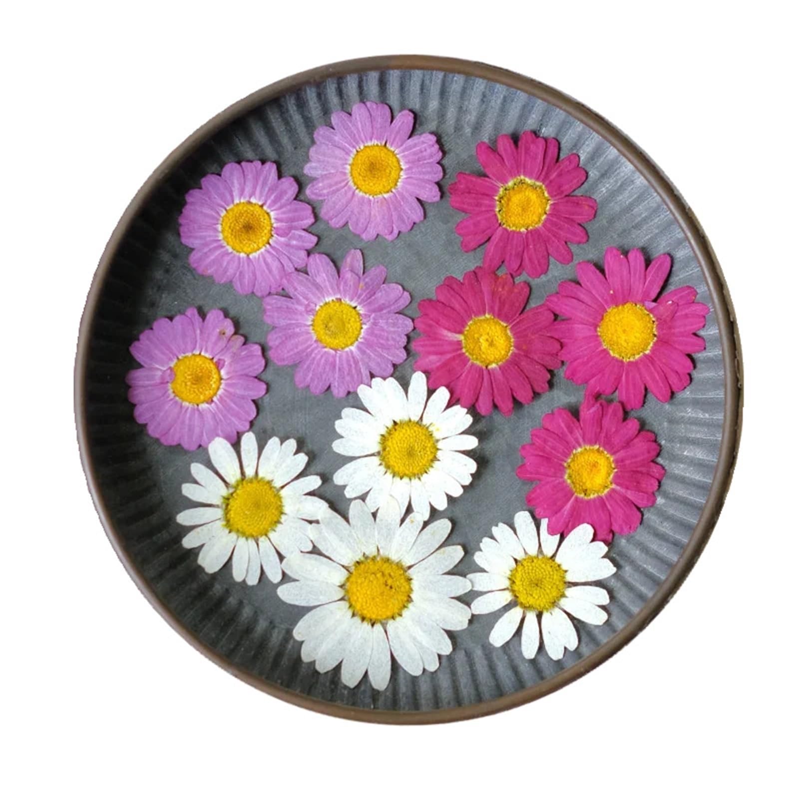 Flores Secas Prensadas 5 Bolsas de Flores secas en Relieve DIY