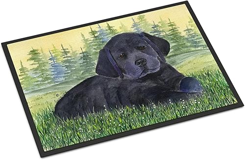 Caroline's Treasures SS8343JMAT - Tapete Labrador para puerta delantera, 24 x 36 pulgadas, para interiores y exteriores, para entrada,
