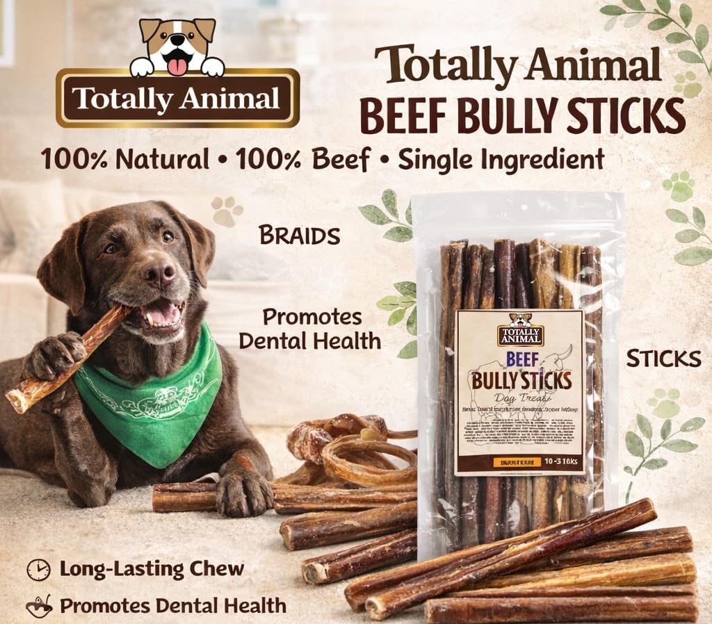 Bully Sticks, 5-6" Dog Chew Treats - 1 lb Bag | Mixed Thickness | Long Lasting for Aggressive Chewers & Large Dogs | Natural Beef Dog Chew Bones