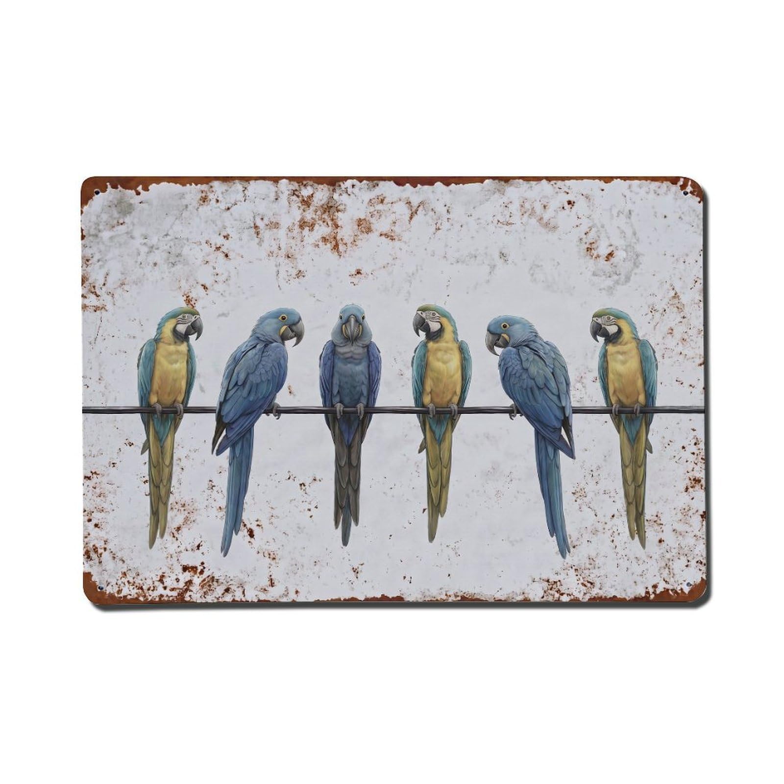 Vintage Retro Birds Hyacinth Macaw Metal Tin Sign