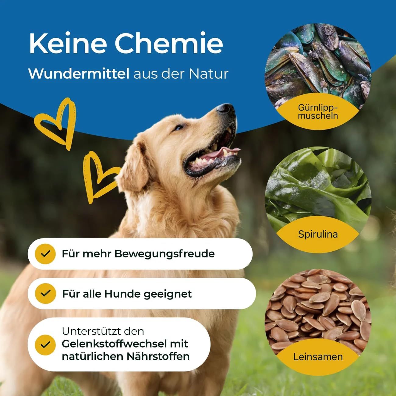 Gelenke 300g - Zusatzfutter - Pellets für Hunde zur Unterstützung der Gelenke mit wertvollen Gelenkbausteinen - Mit Grünlippmuschel, Glucosamin & MSM