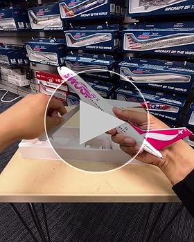 Amazon.com: Skymarks Daron Swoop 737MAX8 1/130 (SKR1115