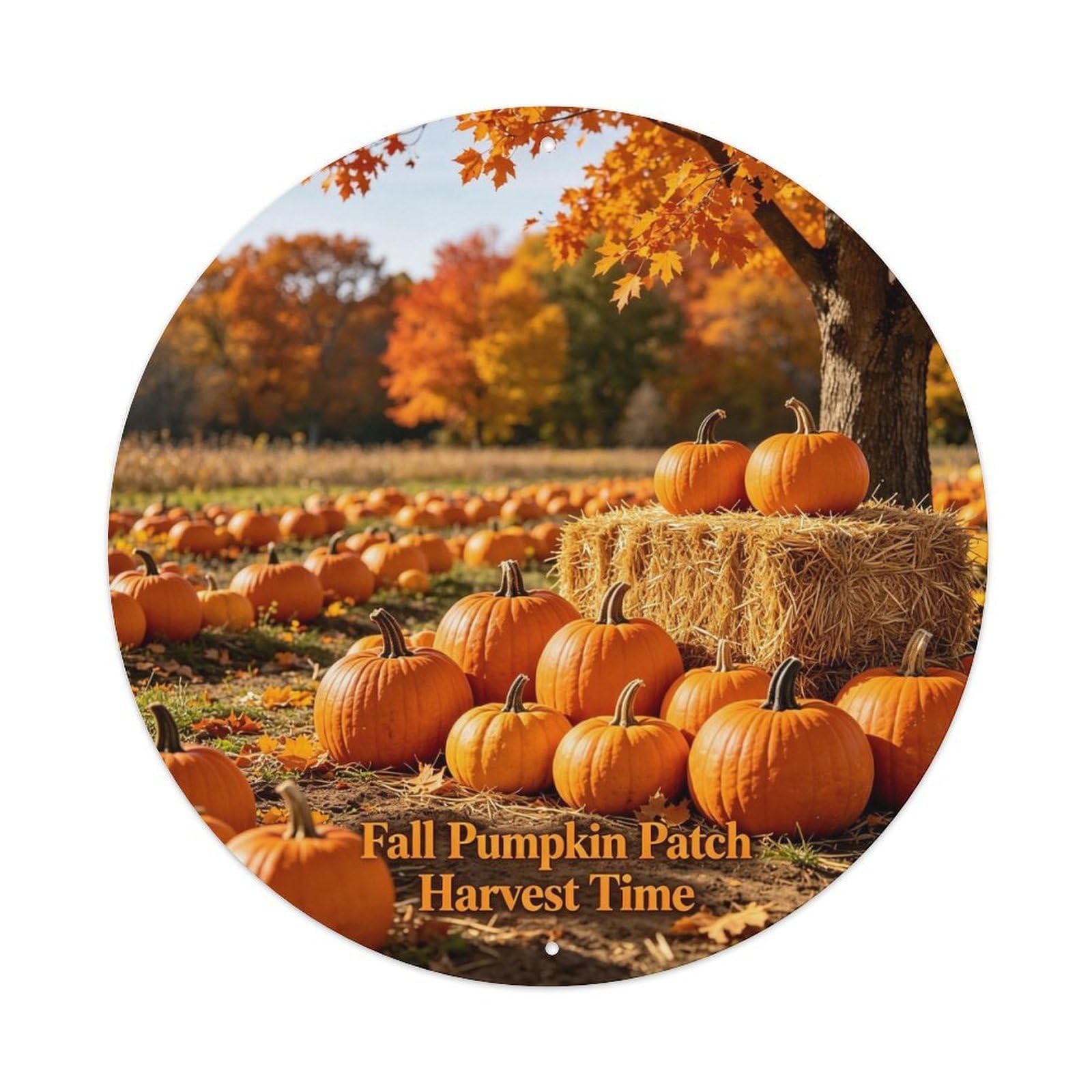 Fall Pumpkin Patch Harvest Time Metal Tin Sign Plaque
