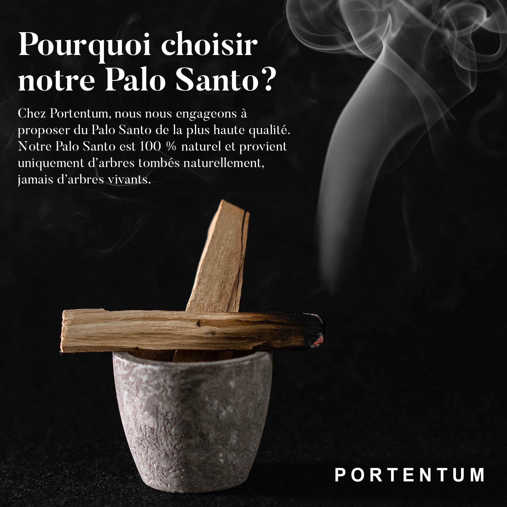 Bois de Palo Santo XL 100gr (9-13 pc) Naturel d'Amérique du Sud Purification Relaxation
