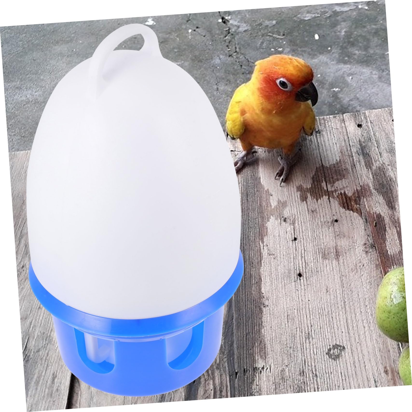 Abreuvoir à Pigeons avec Échelle, PVC Bleu, Détachable | Pigeons et Perroquets, Facile à Nettoyer Utiliser, Stable, Couleur Vive, Forme Ronde et Lisse