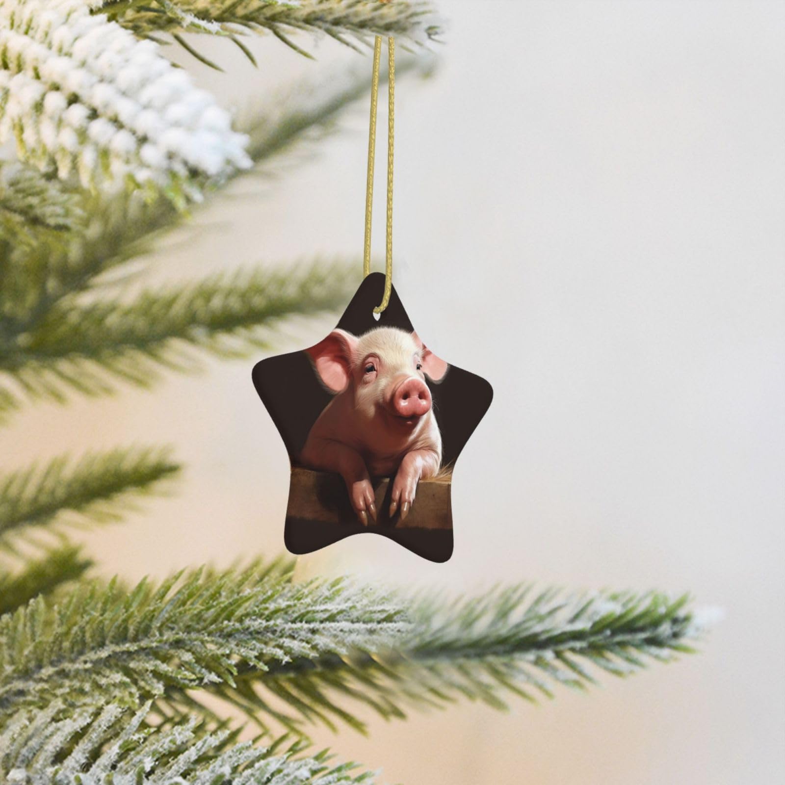 Christmas Tree Decoration Hanging Star Ornament Smiling Ceramic Ornaments Christmas Tree Decorations Star Pendants for Xmas Tree Winter New Year Wedding Party Supplies