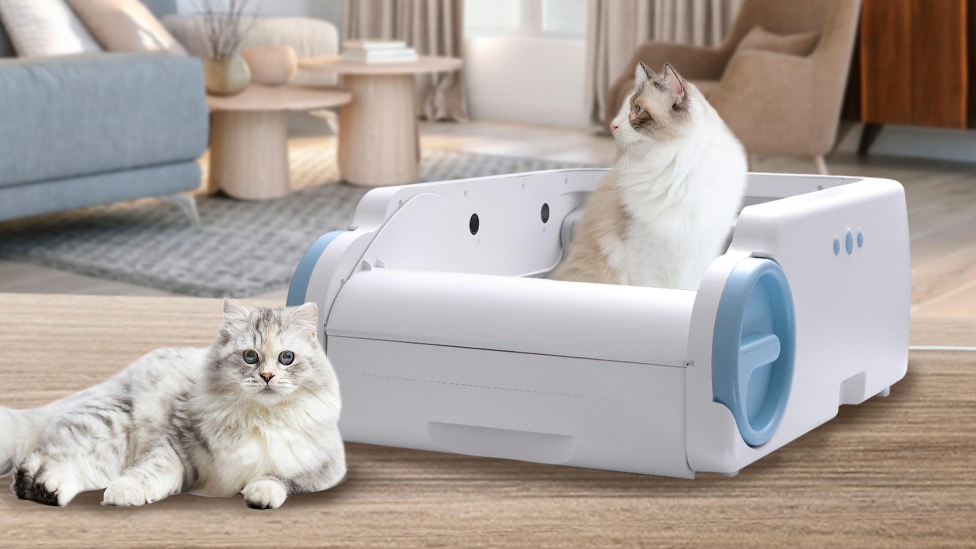 Amazon | 猫 自動トイレ，挟み込み防止無臭，アプリ遠隔操作，開放