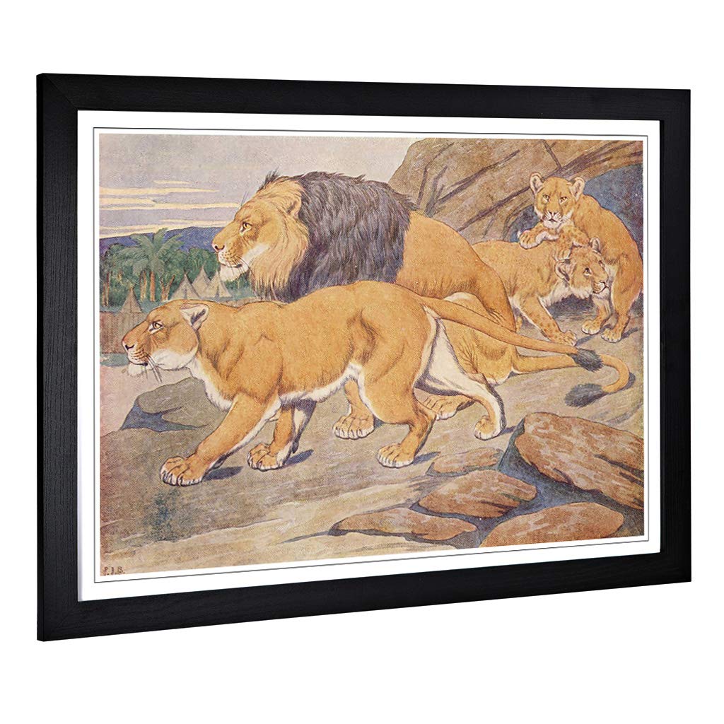 Big Box Art Framed Print of Vintage Percy J Billinghurst Lions Design | Wall Art Picture | Home Decor for Kitchen, Living Room, Bedroom, Hallway, Black, A2 / 24.5x18 Inch / 62x45cm