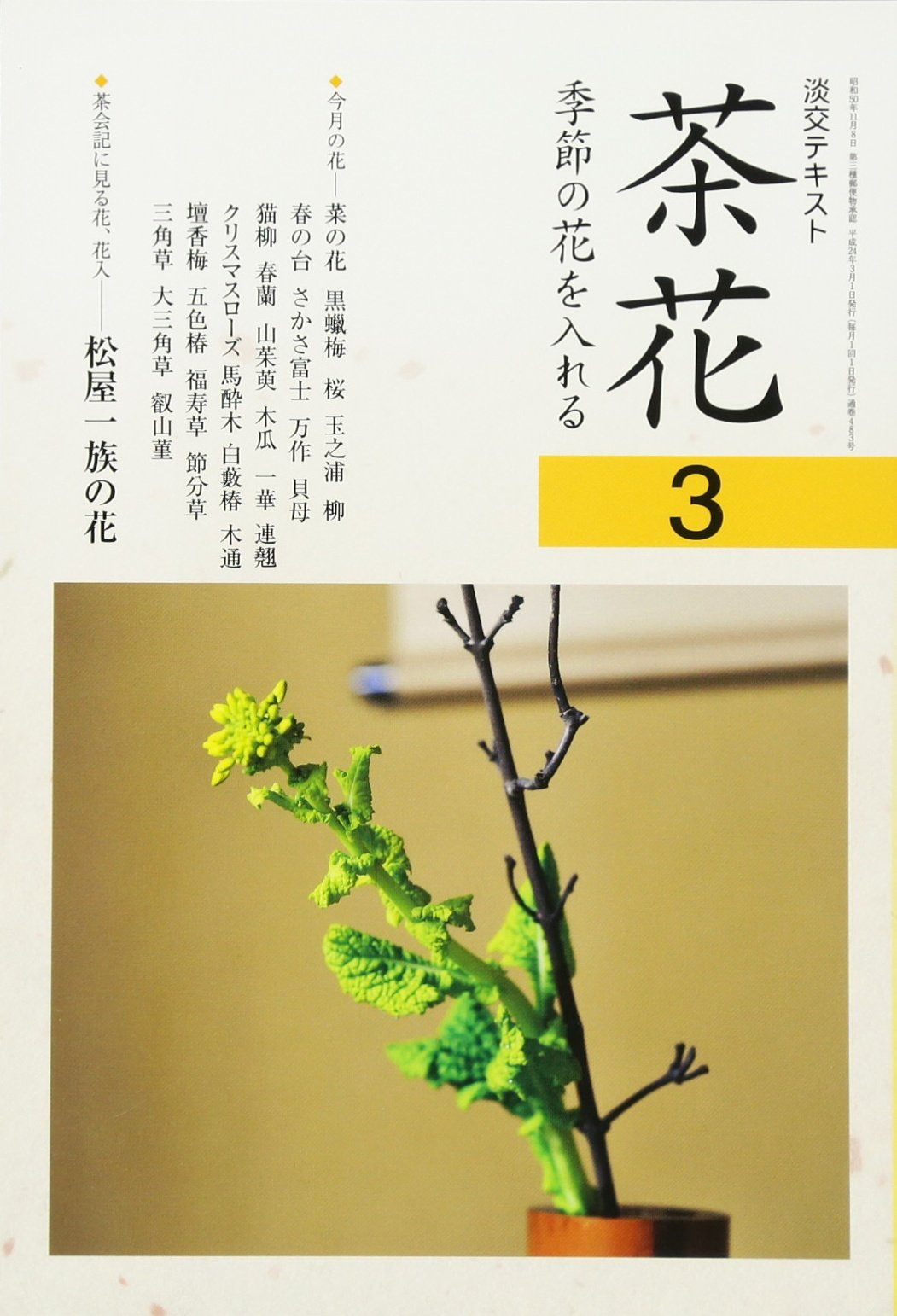 Amazon.co.jp: 茶花:季節の花を入れる（3） (淡交テキスト) : 淡交社