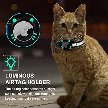 Porta Badge Con Stampa Di Gatti Con Cordino Porta Carte D