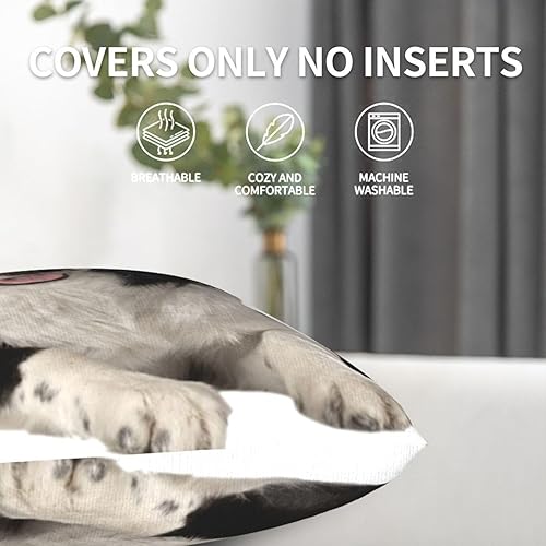 Miniatura 5 de Ovbflc Border Collie Double-Sided Plush Throw Pillow Cover (Pack of 2), Sofa Pillow, Home Decor Pillow Cover, Lumbar Pillow