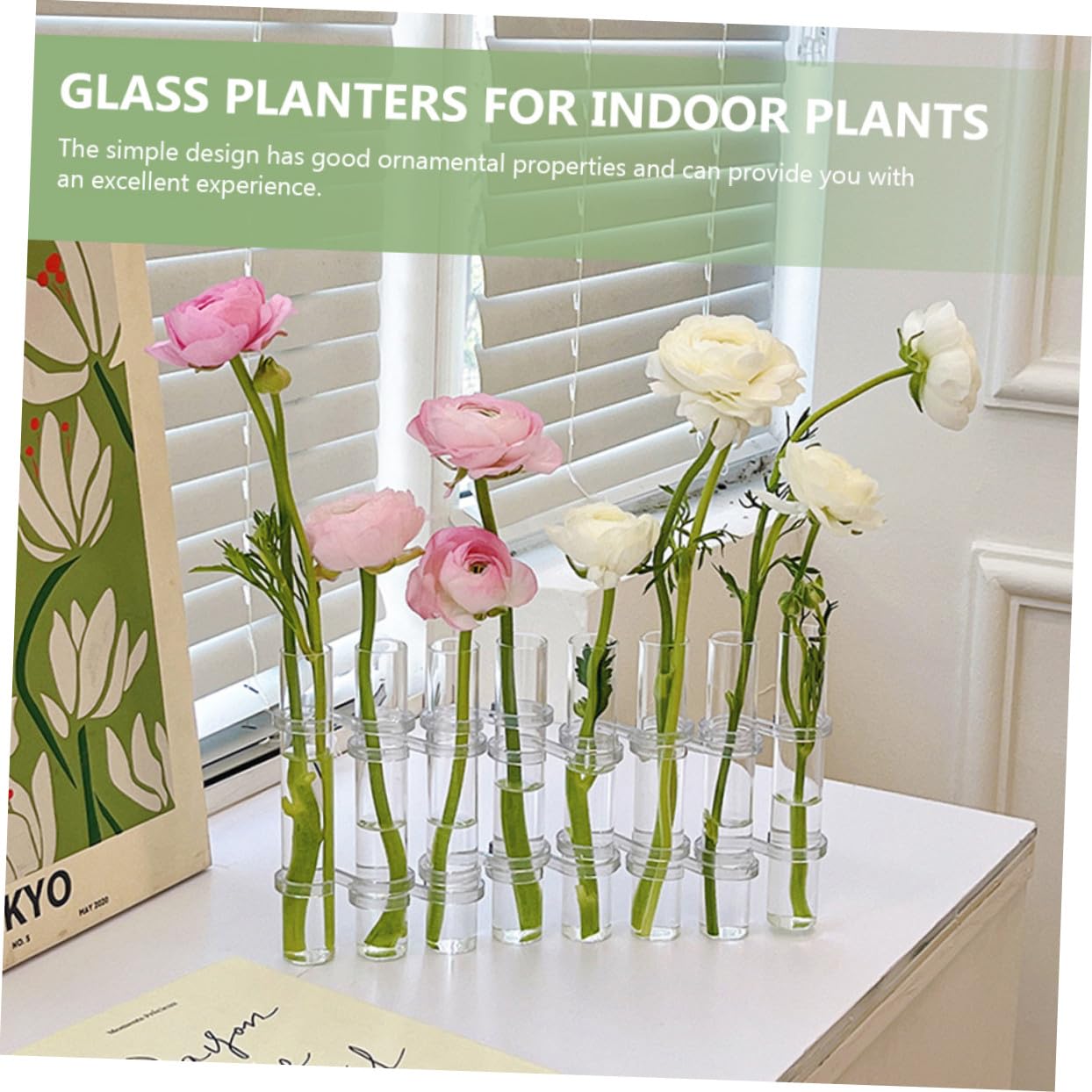 Vase Hydroponique Verre Transparent Tube de Propagation pour Plantes avec Support pour Culture Pot ou Terrarium