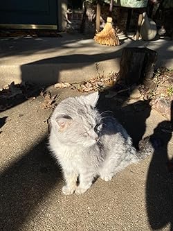 20+ Miracle Vet Weight Gain Liquid