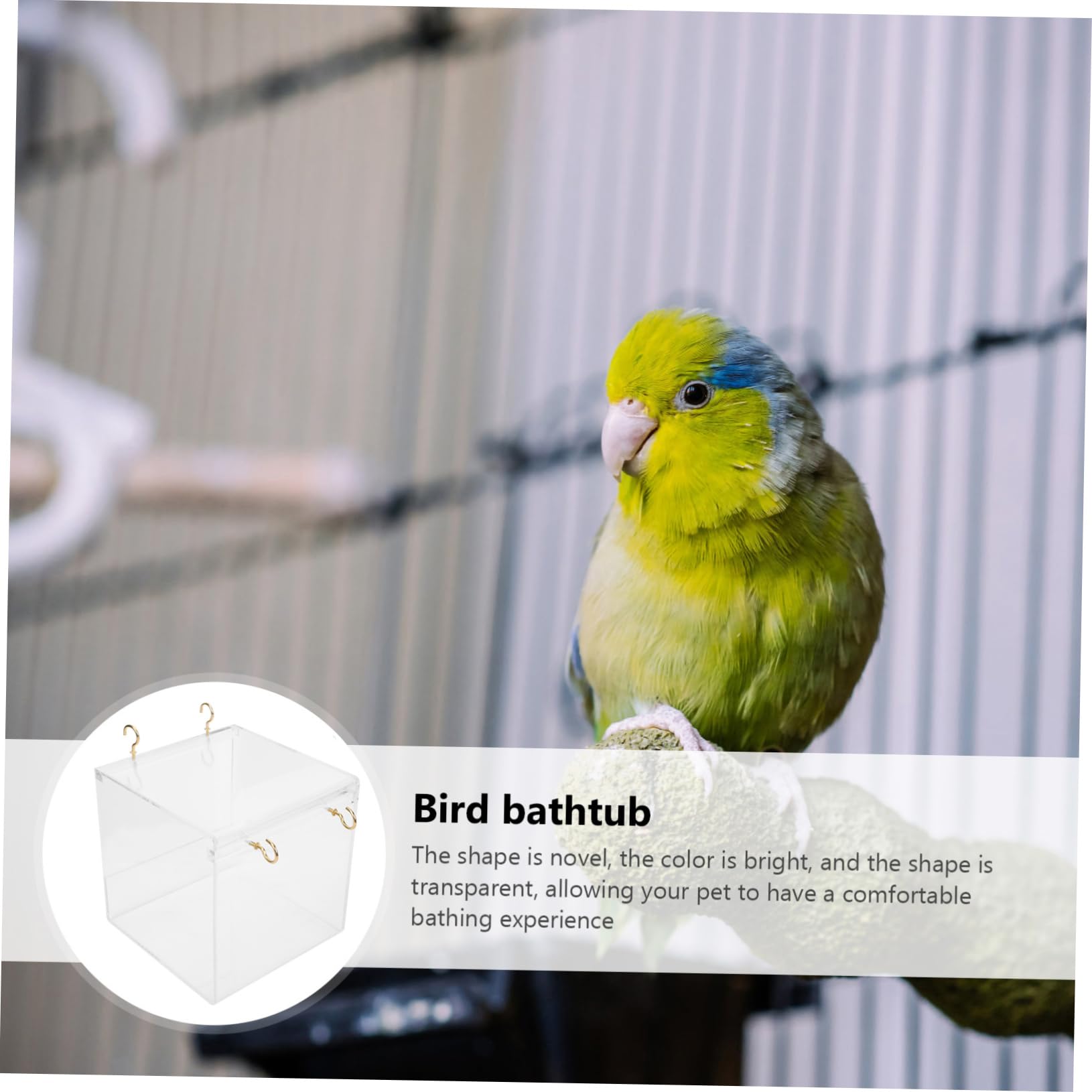 Bassin de Baignade pour Oiseaux, Boîte de Bain en Plastique Blanc