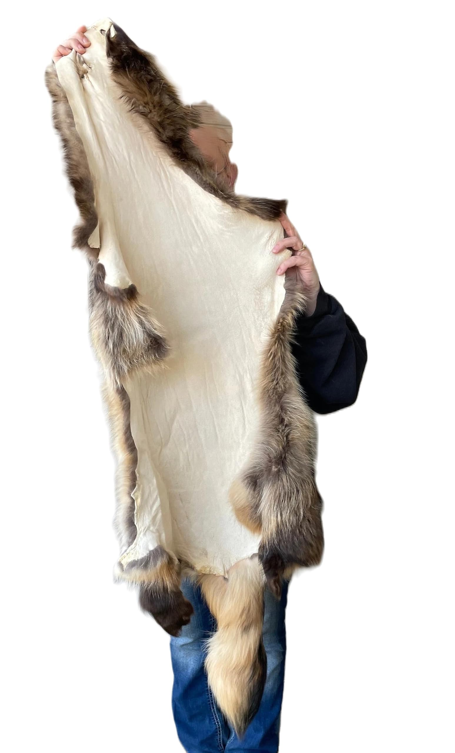 Amazon.com: Dakotaline Furs Real Genuine Finn Raccoon Dog Tanuki